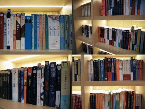 陈思诚 感谢那些读“闲书”的日子——从图书出租到人生积淀