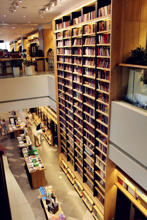 商业与情怀的交响 新华书店安徽图书城店黄金位置招租背后的融合探索